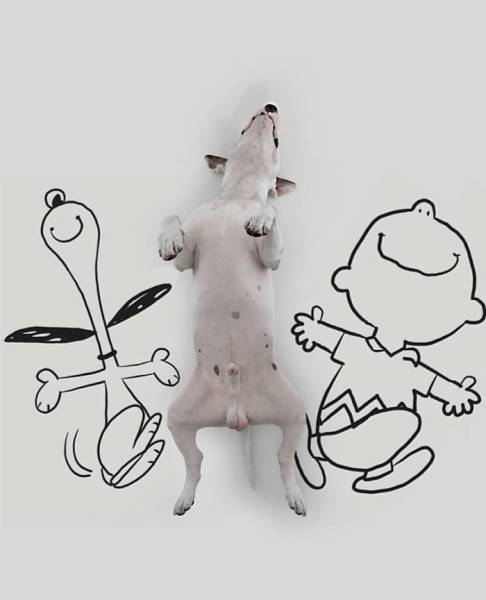 L'art de mettre son chien en scène - Rafael Mantesso - Jimmy Choo