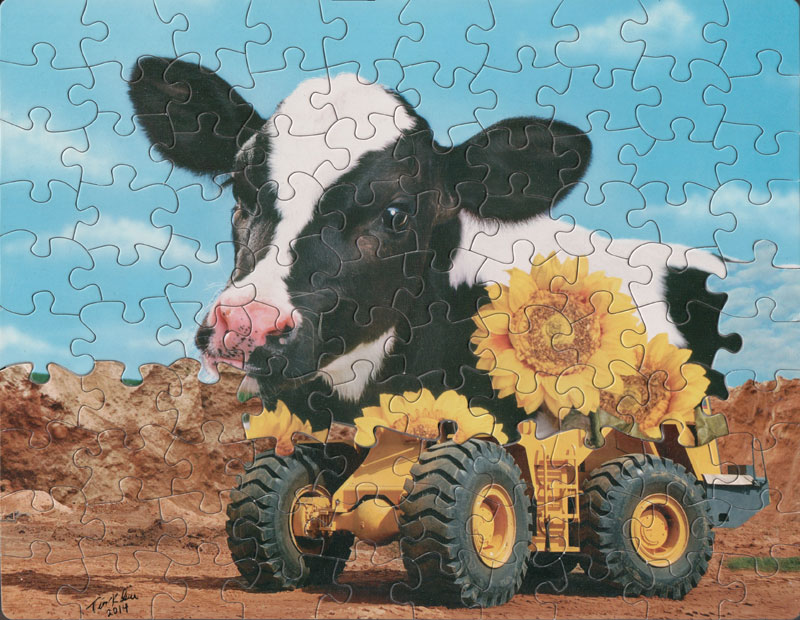 Des mixs de puzzle par Tim Klein