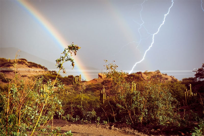 Des photos au timing parfait