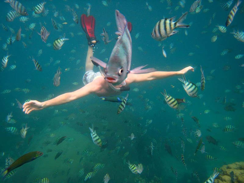 Des photos au timing parfait