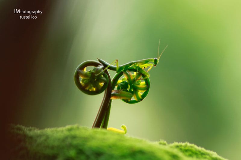 Des photos au timing parfait