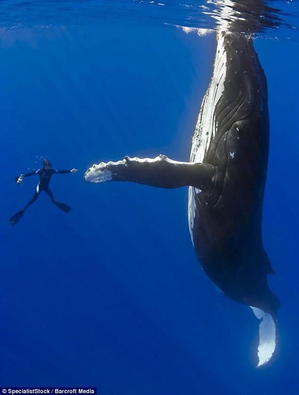 Des photos au timing parfait