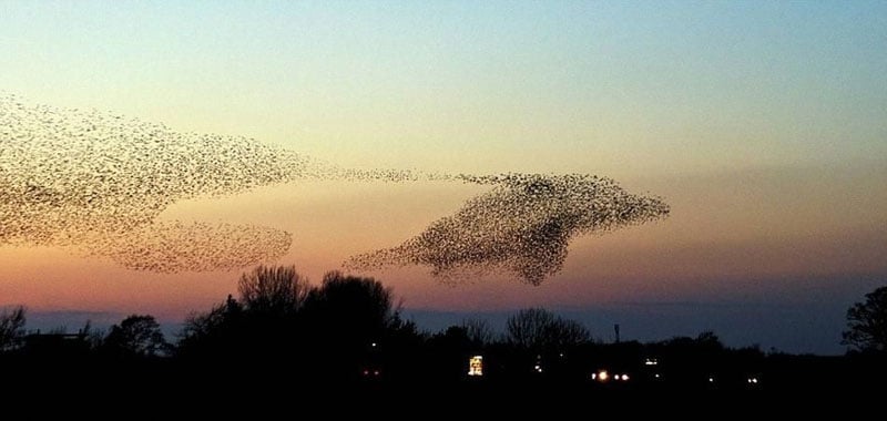 Des photos au timing parfait