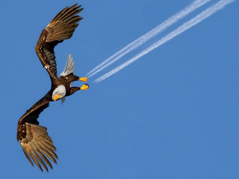 Des photos au timing parfait