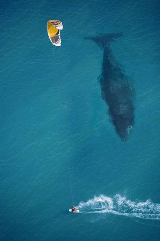 Des photos au timing parfait