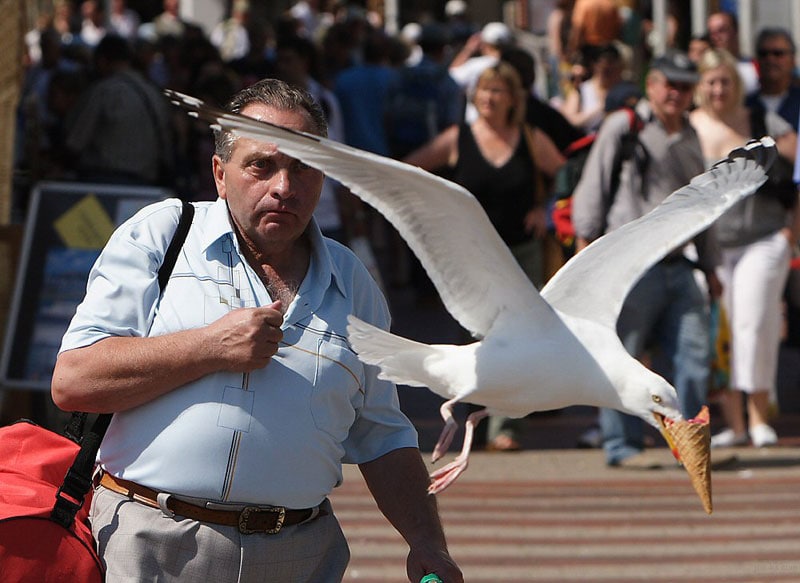 Des photos au timing parfait