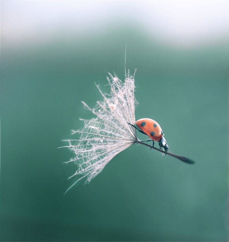 Des photos au timing parfait