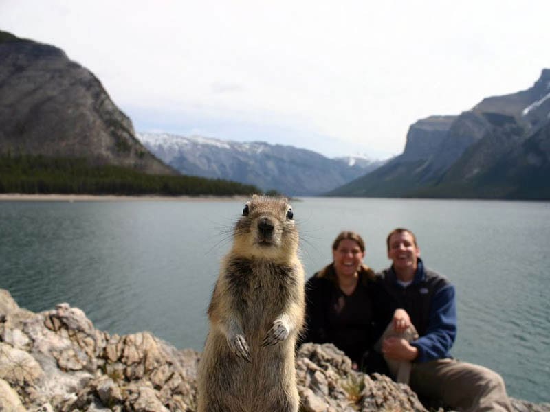 Des photos au timing parfait