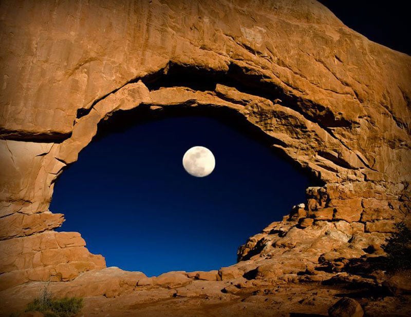Des photos au timing parfait